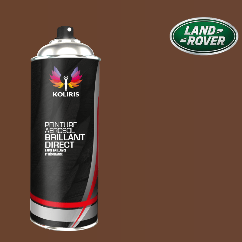 Bombe de peinture voiture Landrover 1K brillant 400ml - Carenciel.pro
