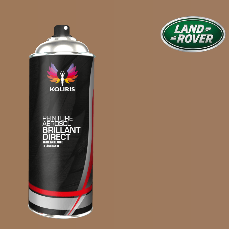 Bombe de peinture voiture Landrover 1K brillant 400ml - Carenciel.pro