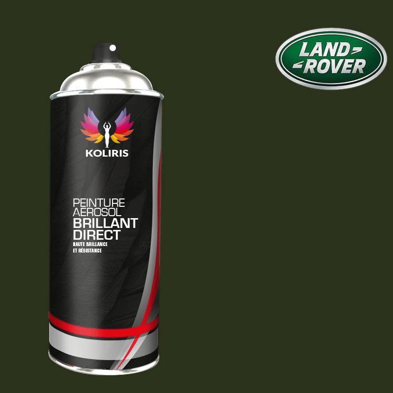 Bombe de peinture voiture Landrover 1K brillant 400ml - Carenciel.pro