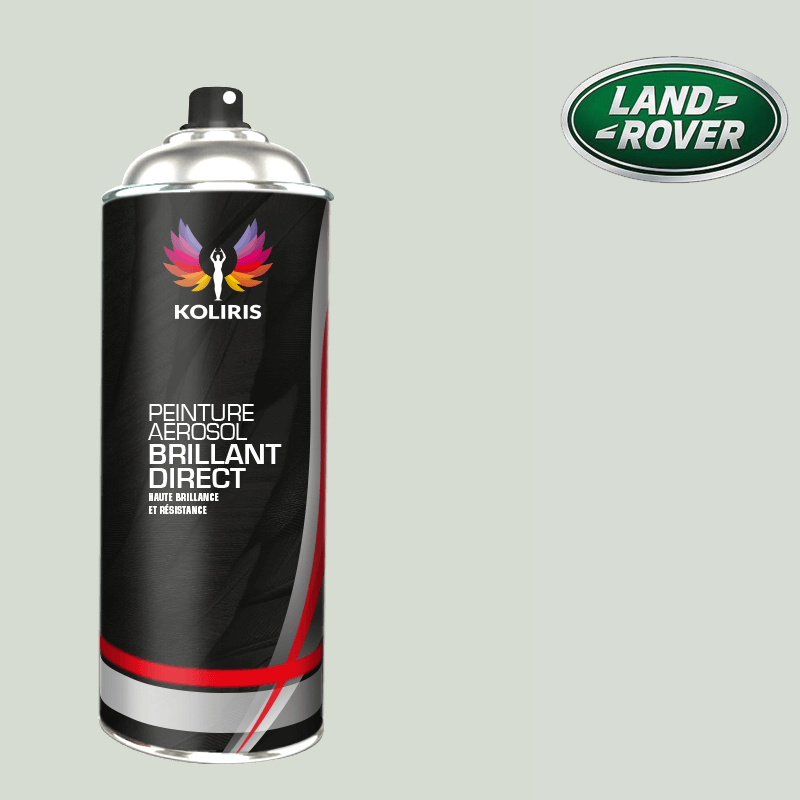 Bombe de peinture voiture Landrover 1K brillant 400ml - Carenciel.pro