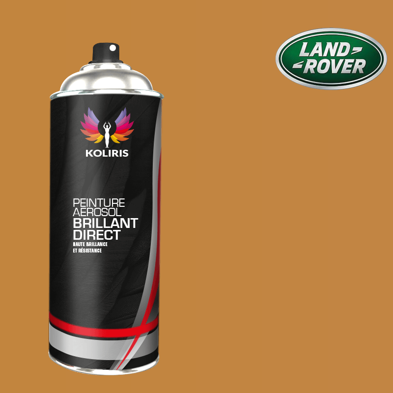 Bombe de peinture voiture Landrover 1K brillant 400ml - Carenciel.pro
