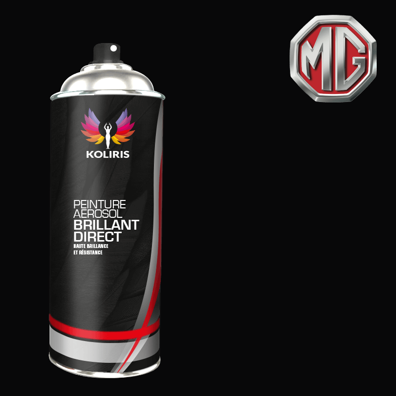 Bombe de peinture voiture Mg 1K brillant 400ml - Carenciel.pro