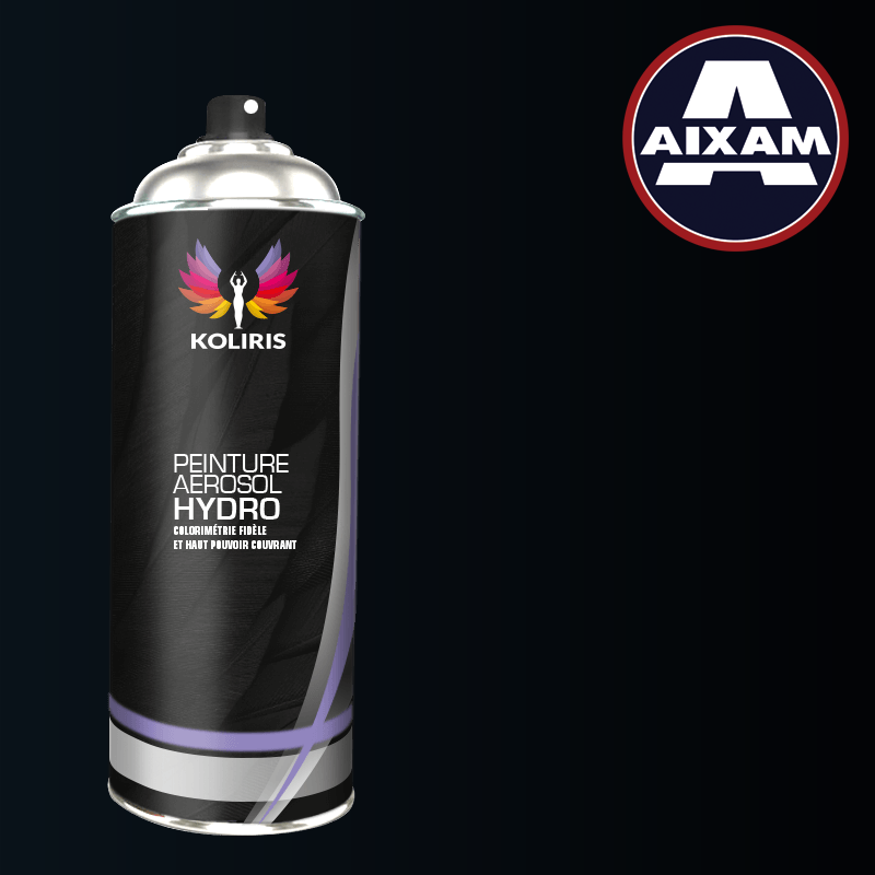 Bombe de peinture voiture Aixam