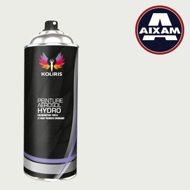 Bombe de peinture voiture Aixam
