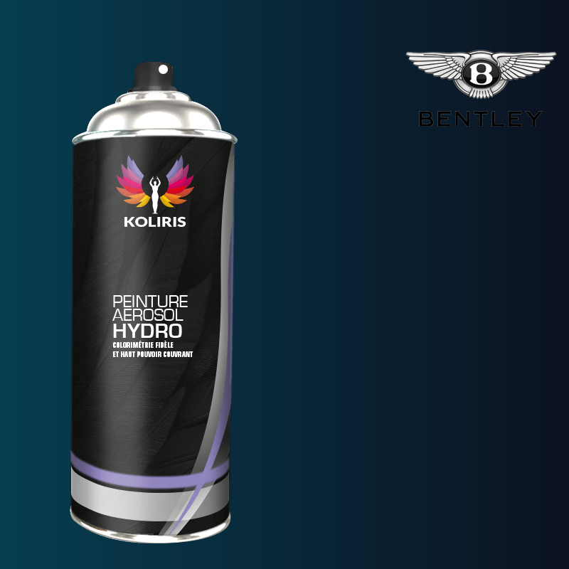 Bombe de peinture voiture Bentley hydro 400ml