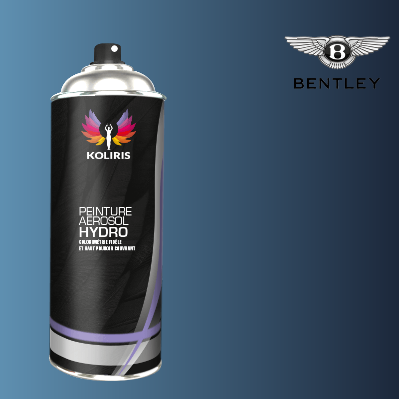 Bombe de peinture voiture Bentley hydro 400ml