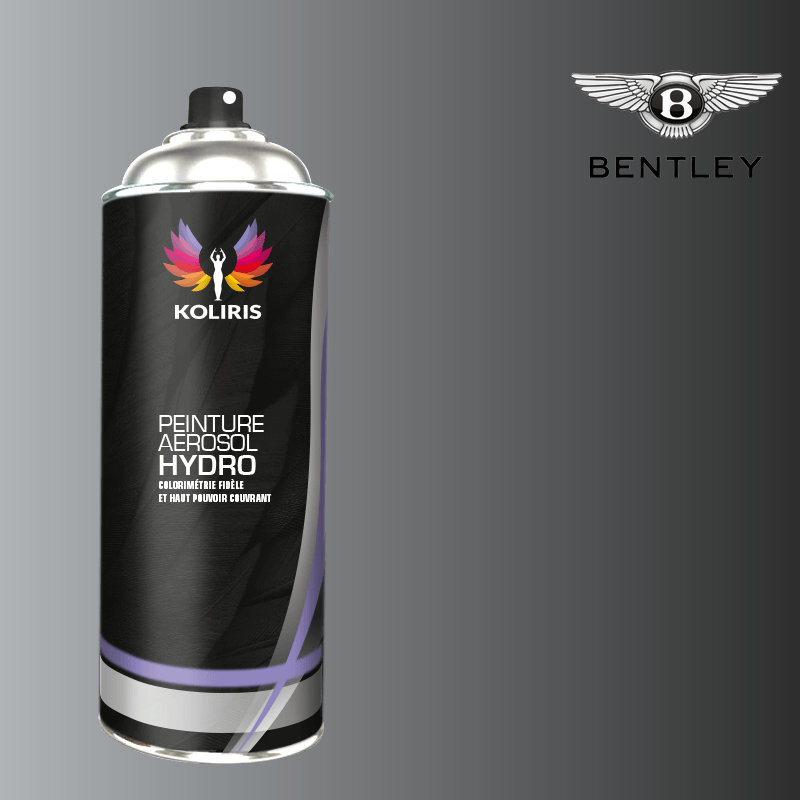 Bombe de peinture voiture Bentley hydro 400ml