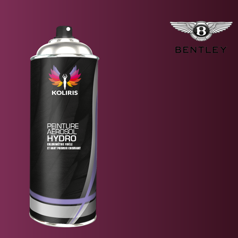 Bombe de peinture voiture Bentley hydro 400ml