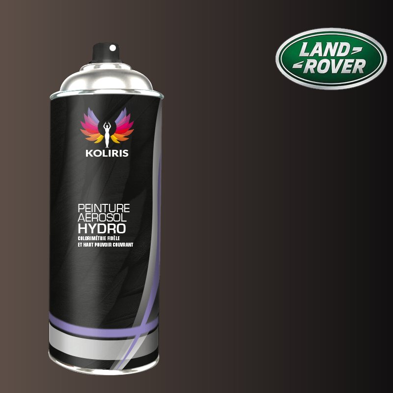 Bombe de peinture voiture Landrover 400ml - Koliris