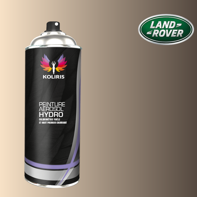Bombe de peinture voiture Landrover 400ml - Koliris
