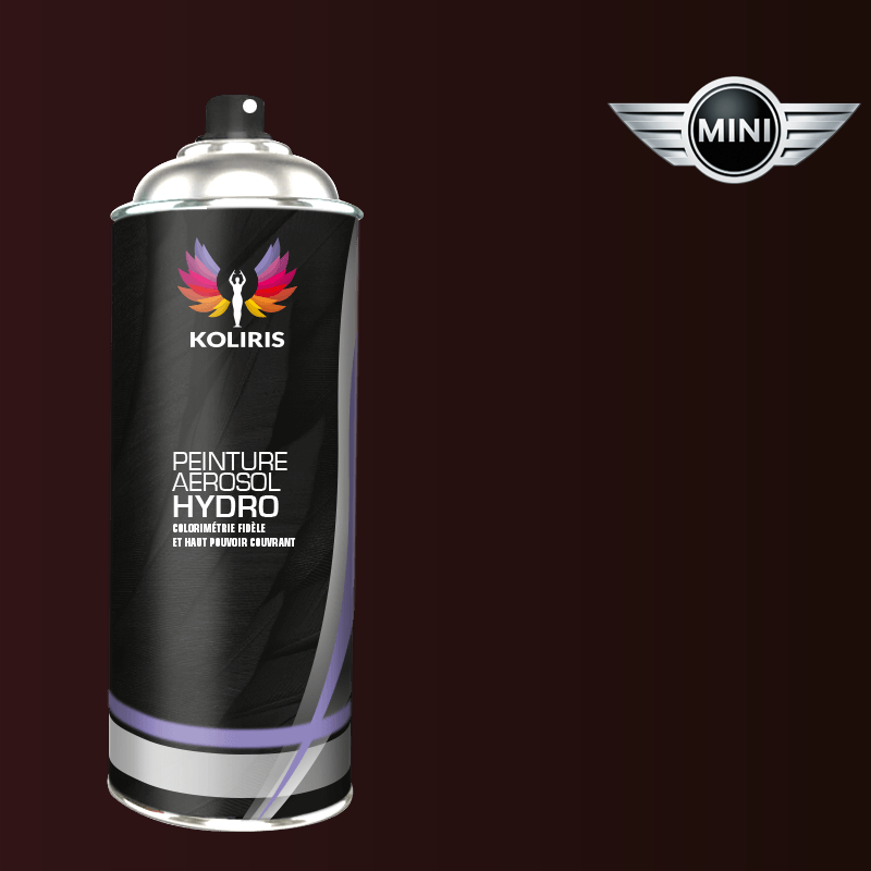 Bombe de peinture voiture hydro Mini