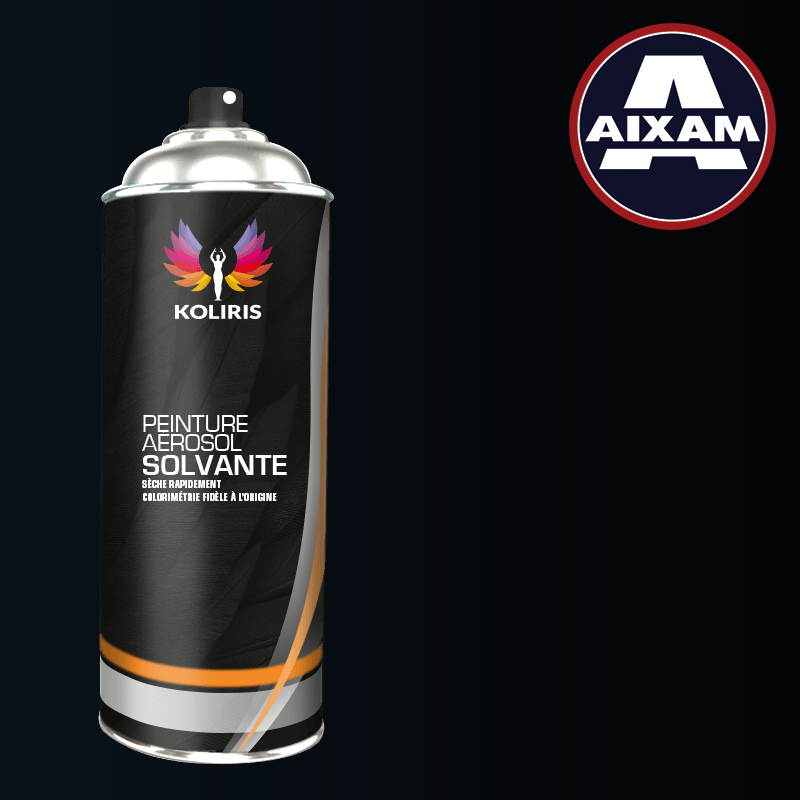 Bombe de peinture voiture solvant Aixam - Carenciel.pro