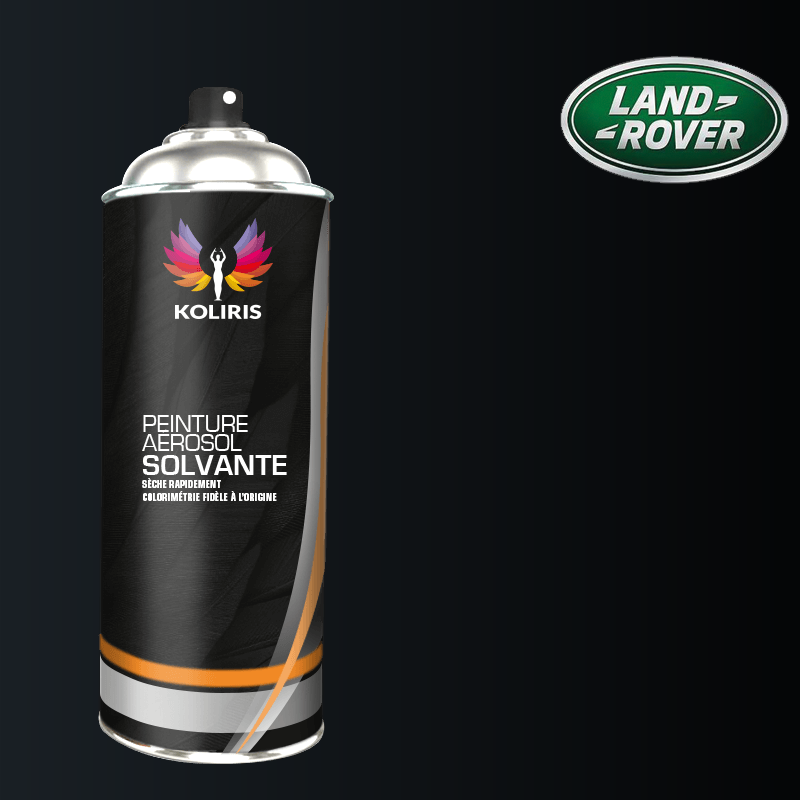 Bombe de peinture voiture solvant Landrover
