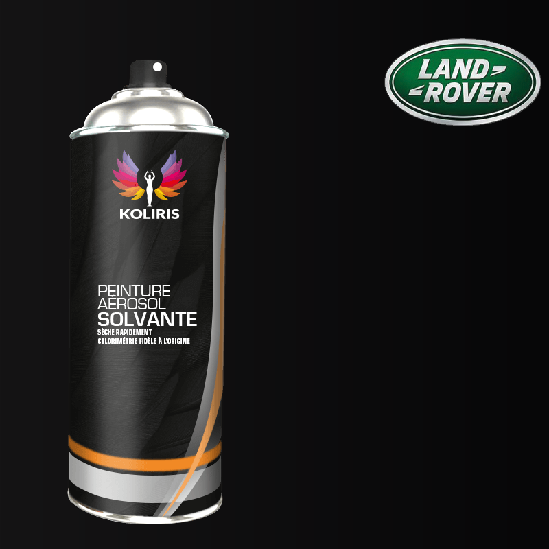 Bombe de peinture voiture solvant Landrover