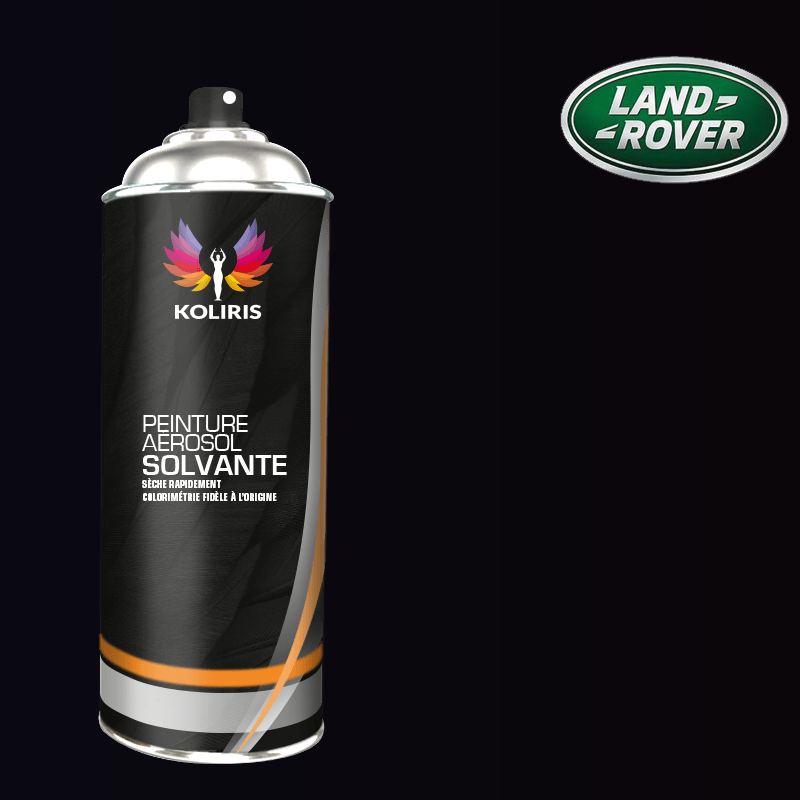 Bombe de peinture voiture solvant Landrover