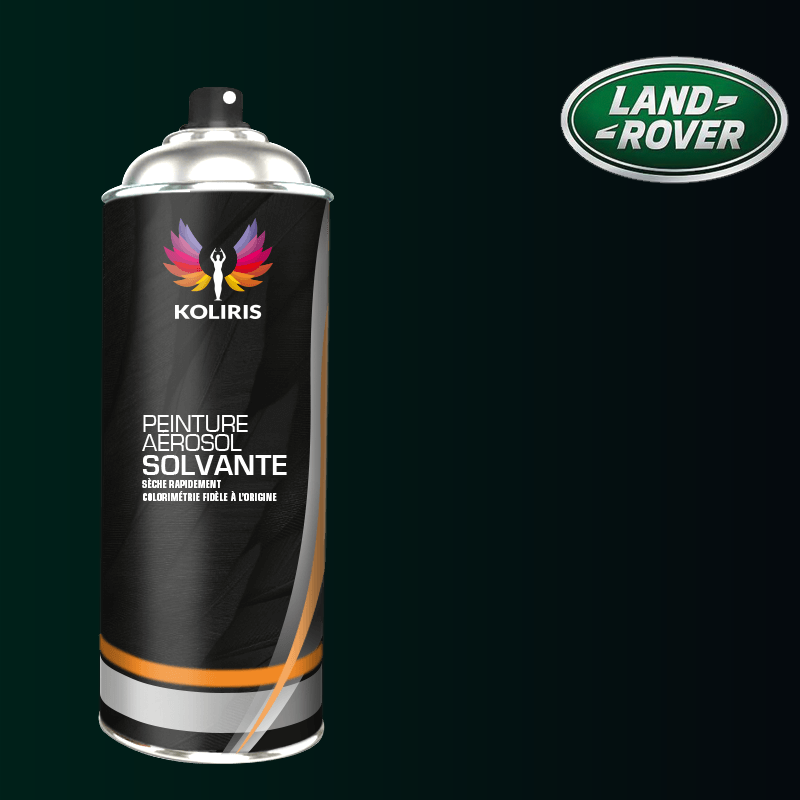 Bombe de peinture voiture solvant Landrover