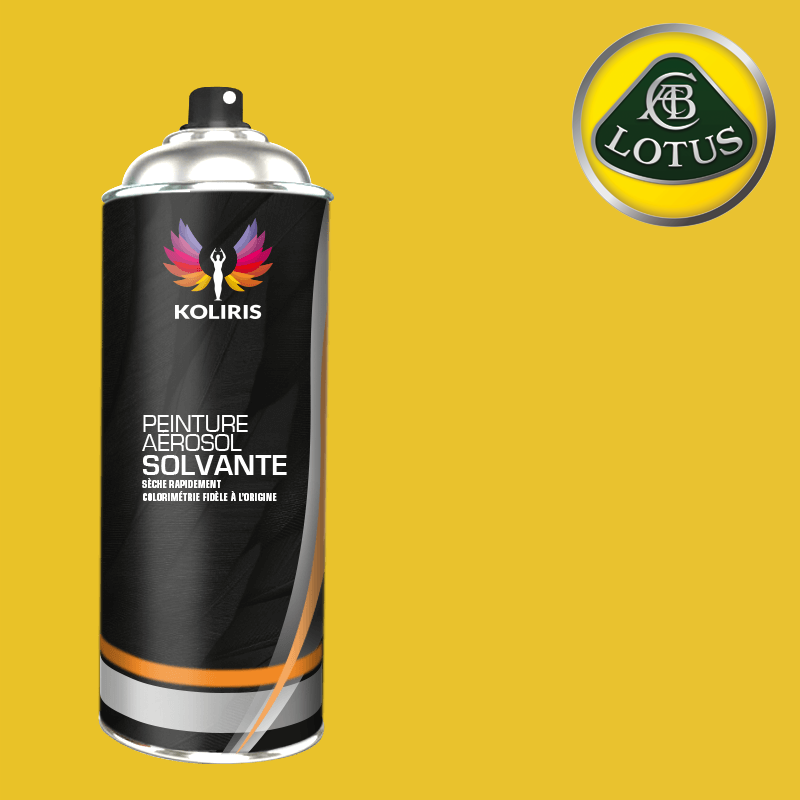 Bombe de peinture voiture solvant Lotus
