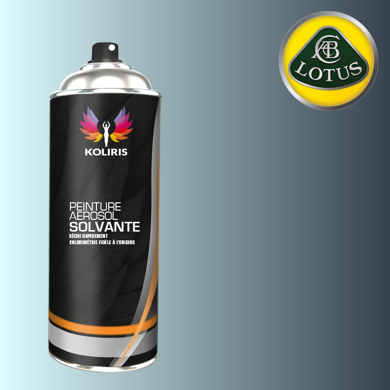 Bombe de peinture voiture solvant Lotus