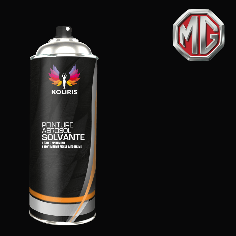 Bombe de peinture voiture solvant Mg - Carenciel