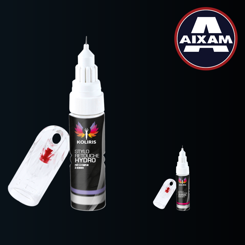 Pack 2 Stylos de Retouche Voiture Aixam 20ml - Carenciel