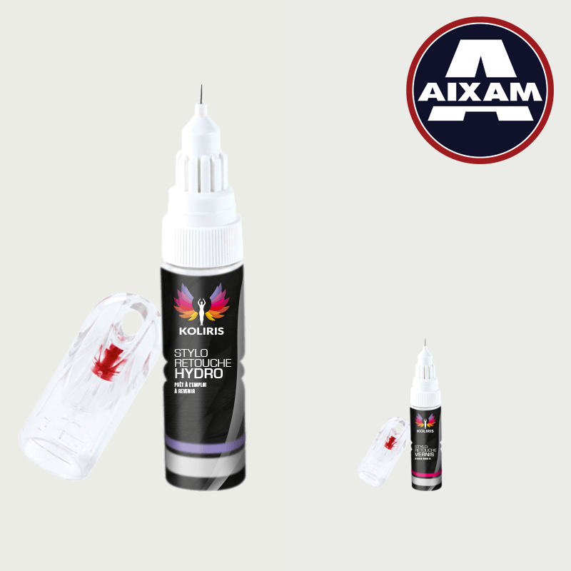 Pack 2 Stylos de Retouche Voiture Aixam 20ml - Carenciel