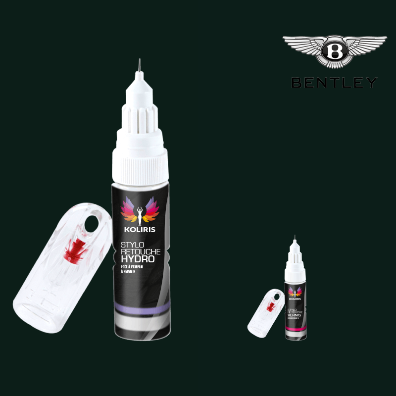 Pack 2 stylos de retouche voiture Bentley 20ml