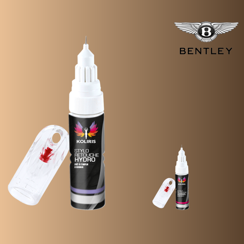 Pack 2 stylos de retouche voiture Bentley 20ml
