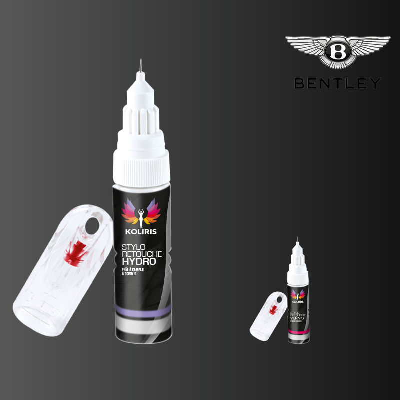 Pack 2 stylos de retouche voiture Bentley 20ml