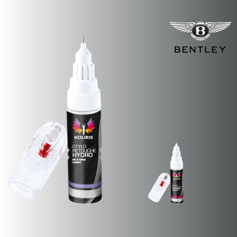 Pack 2 stylos de retouche voiture Bentley 20ml
