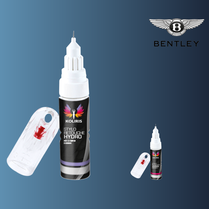 Pack 2 stylos de retouche voiture Bentley 20ml