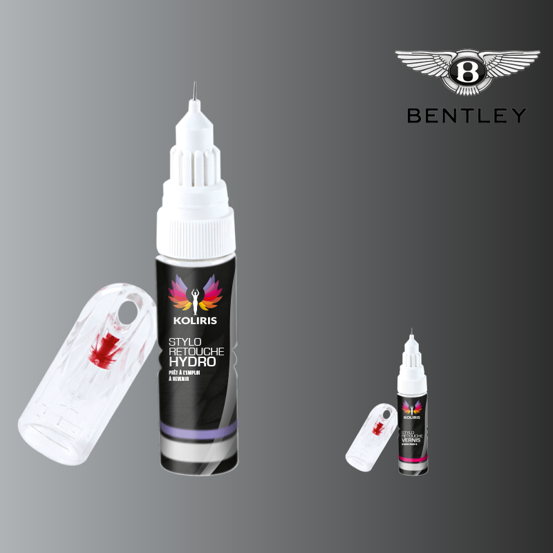 Pack 2 stylos de retouche voiture Bentley 20ml