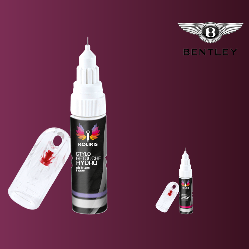 Pack 2 stylos de retouche voiture Bentley 20ml