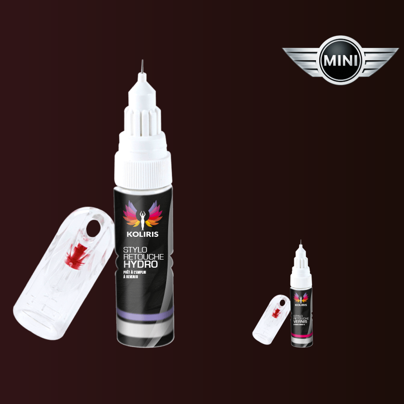Pack 2 stylos de retouche voiture Mini - Carenciel.pro