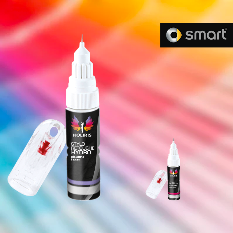 Pack 2 stylos de retouche voiture Smart 20ml - Carenciel.pro