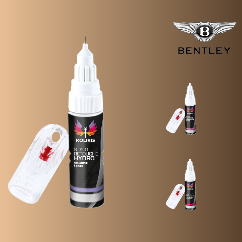 Pack 3 stylos de retouche voiture Bentley - Carenciel