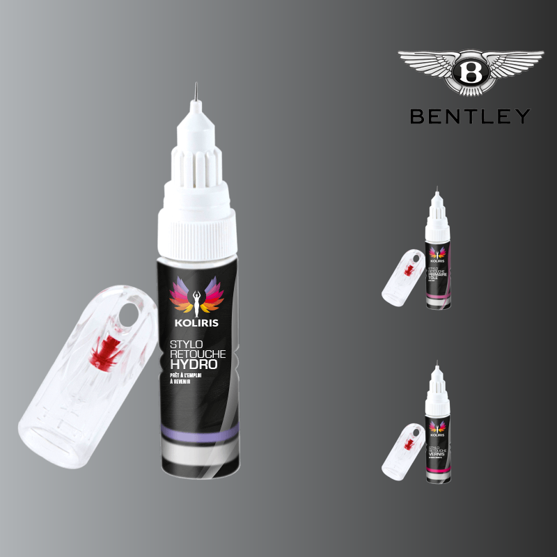 Pack 3 stylos de retouche voiture Bentley - Carenciel