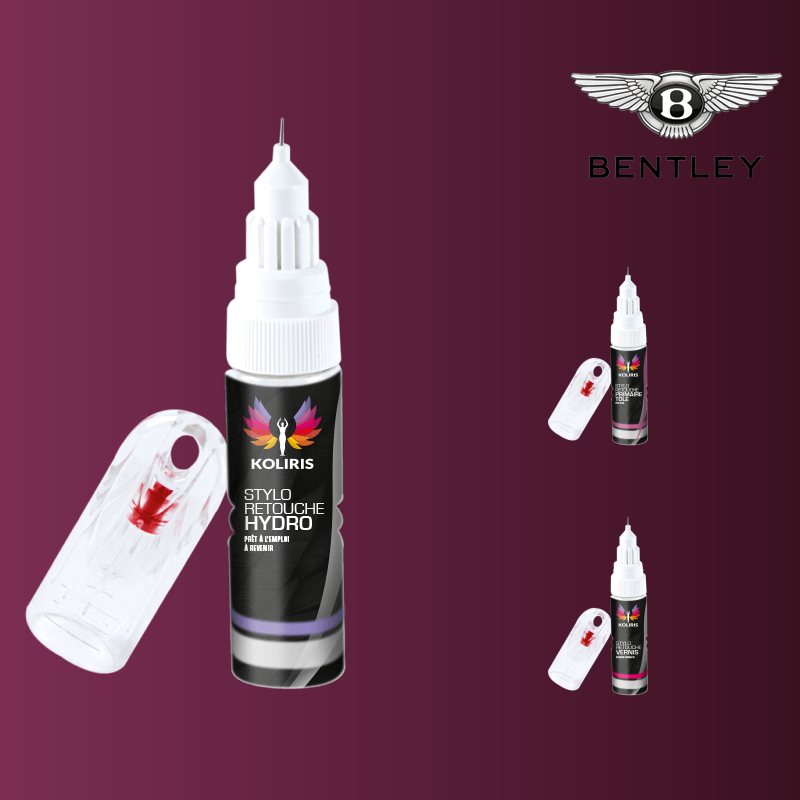 Pack 3 stylos de retouche voiture Bentley - Carenciel