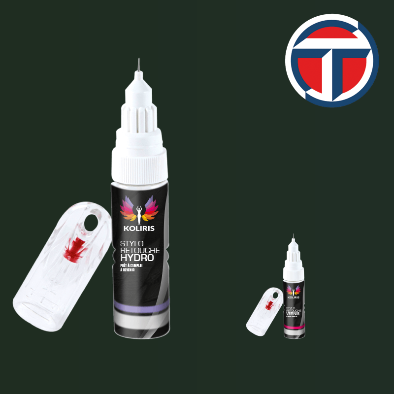 Pack 2 stylos de retouche Talbot - Carenciel.pro