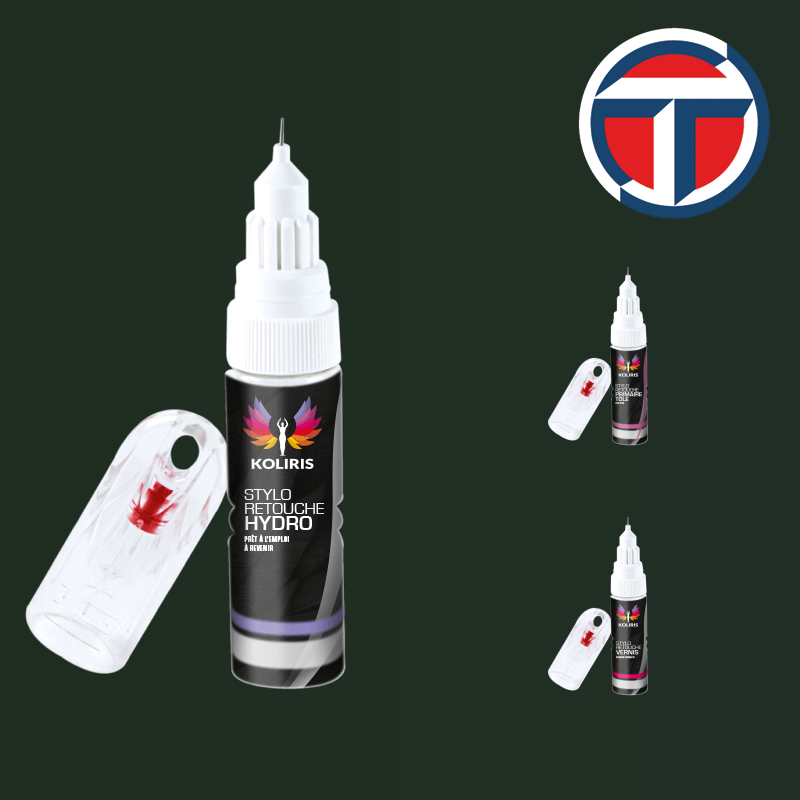 Pack 3 stylos de retouche Talbot - Carenciel.pro