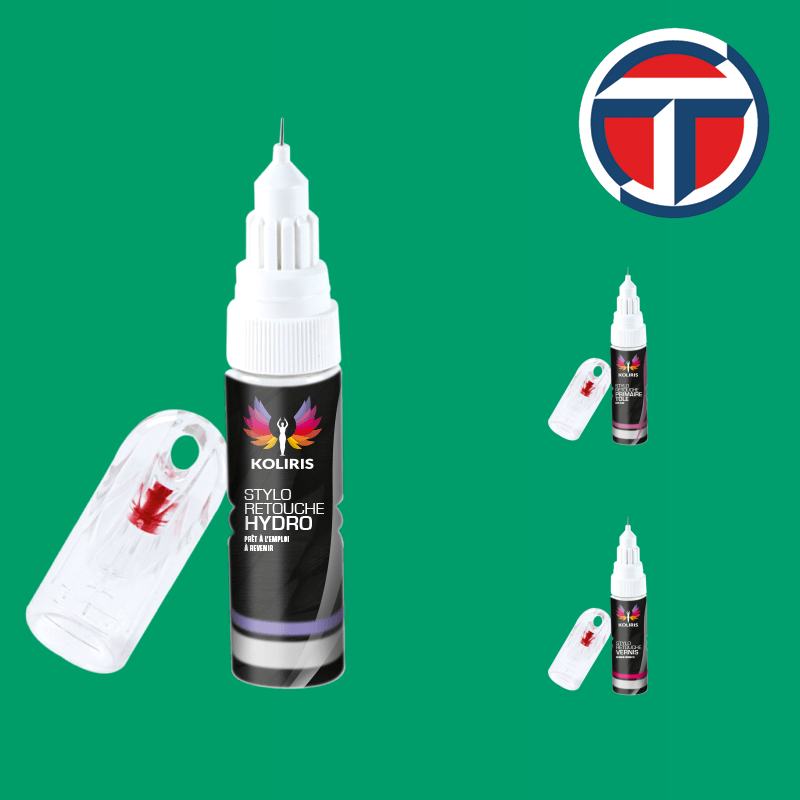 Pack 3 stylos de retouche Talbot - Carenciel.pro