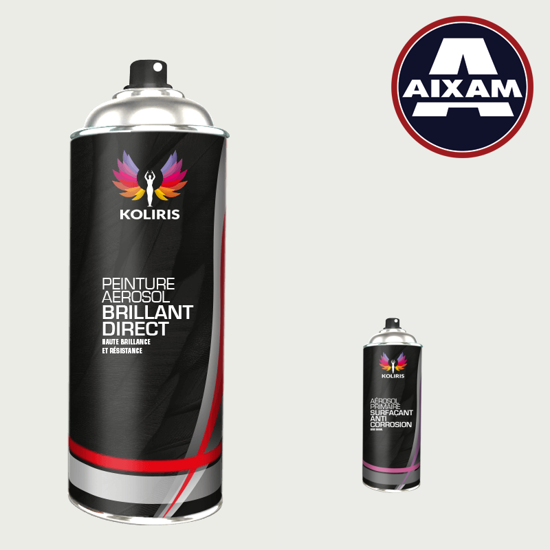 Pack 2 aérosols peinture voiture 1K brillant Aixam