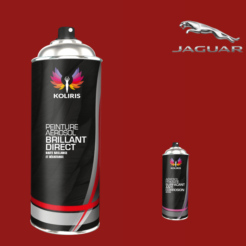 Pack 2 aérosols peinture voiture 1K brillant Jaguar 400ml - Carenciel.pro
