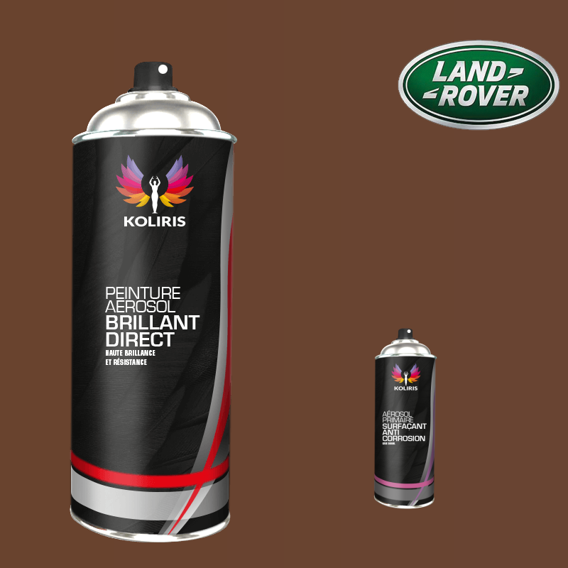 Pack 2 aérosols peinture voiture Landrover 1K brillant - Carenciel.pro