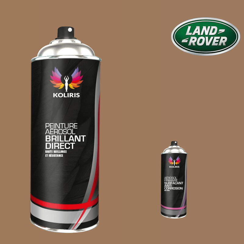 Pack 2 aérosols peinture voiture Landrover 1K brillant - Carenciel.pro