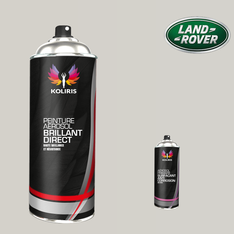 Pack 2 aérosols peinture voiture Landrover 1K brillant - Carenciel.pro