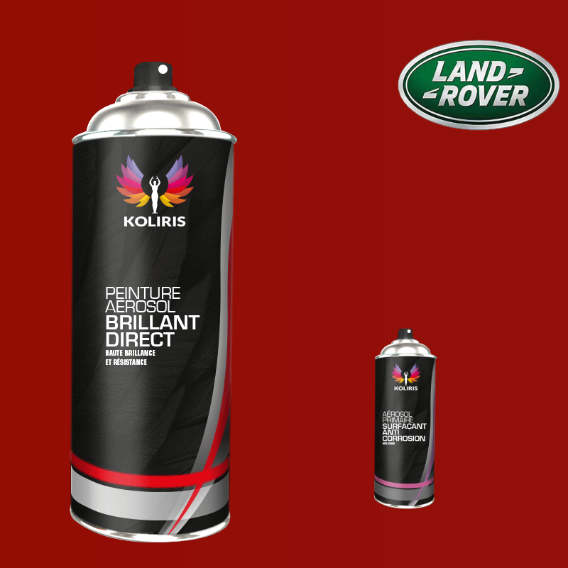 Pack 2 aérosols peinture voiture Landrover 1K brillant - Carenciel.pro
