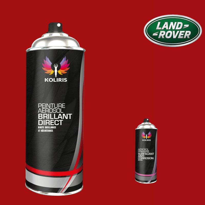 Pack 2 aérosols peinture voiture Landrover 1K brillant - Carenciel.pro
