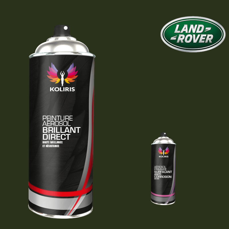 Pack 2 aérosols peinture voiture Landrover 1K brillant - Carenciel.pro