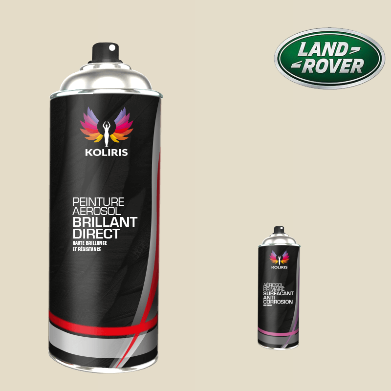 Pack 2 aérosols peinture voiture Landrover 1K brillant - Carenciel.pro