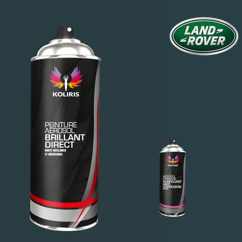 Pack 2 aérosols peinture voiture Landrover 1K brillant - Carenciel.pro